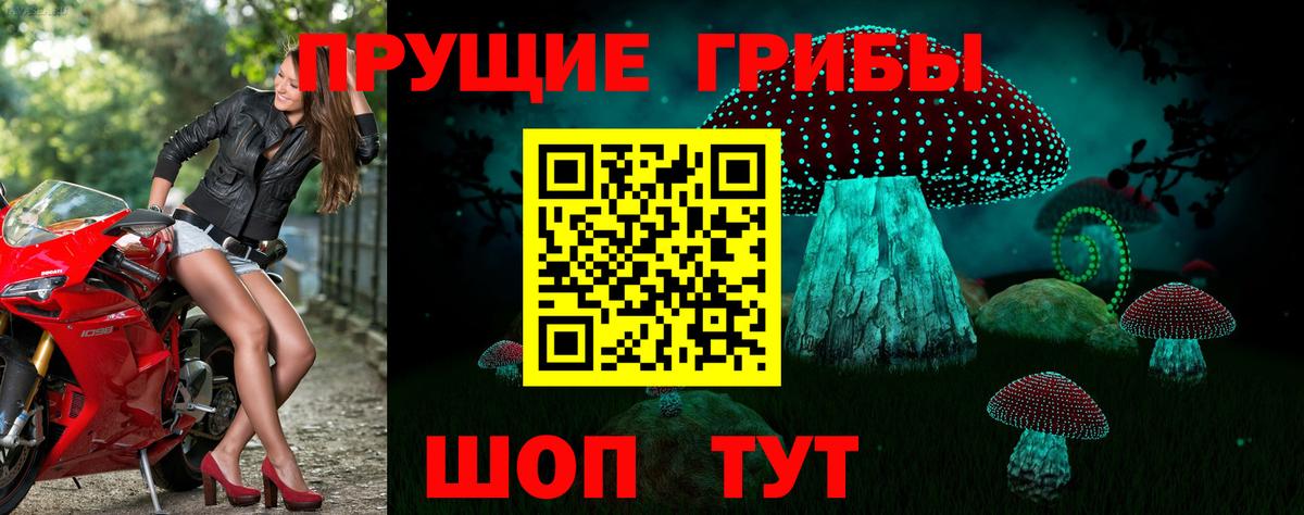 Галлюциногенные грибы мицелий  Псилоцибиновые грибы прущие грибы  купить закладку  Вход с VPN  Всеволожск 